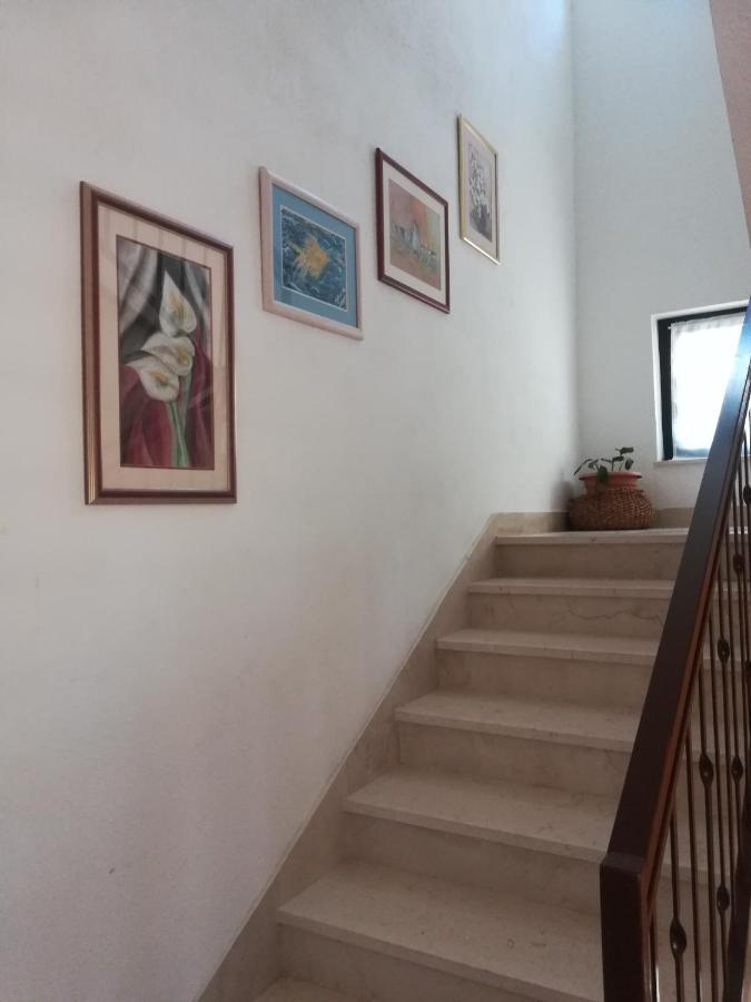 Apartments Tamara 로크바 로고즈니차 외부 사진